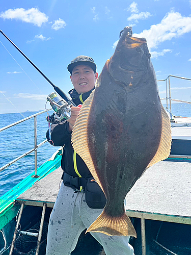 ヒラメの釣果