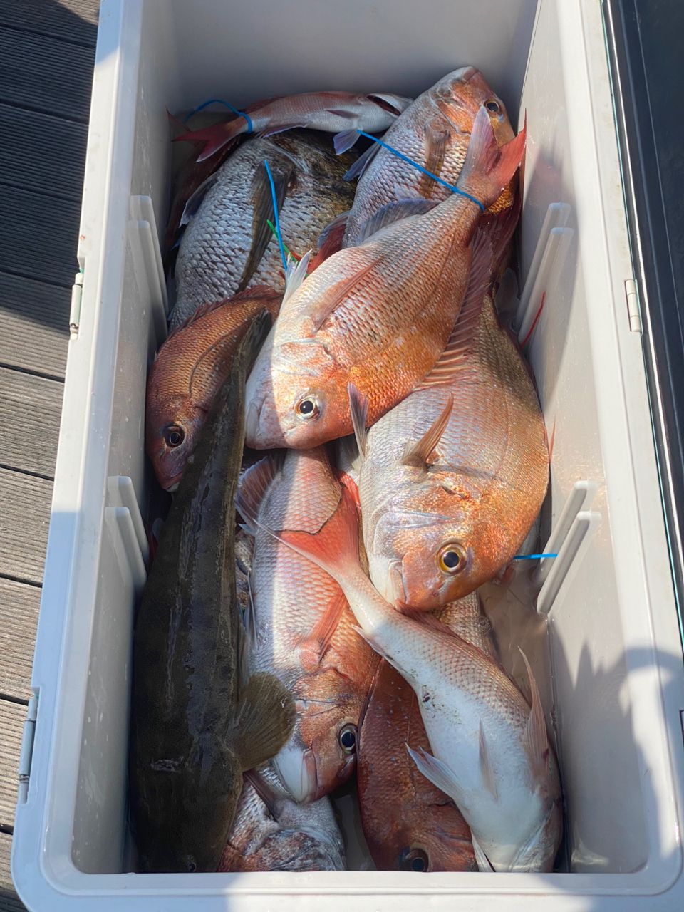 ガシラ太郎さんの釣果 2枚目の画像