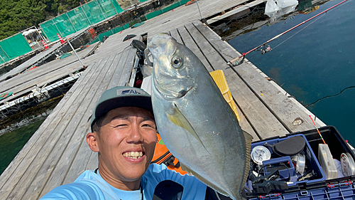 シマアジの釣果