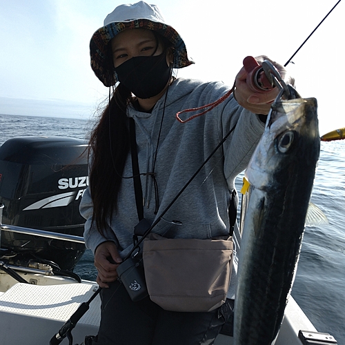 サバの釣果