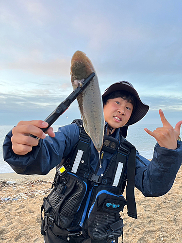 シタビラメの釣果