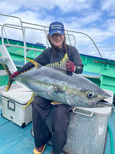 キハダマグロの釣果