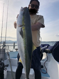 ブリの釣果