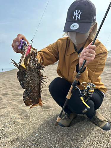 オニオコゼの釣果