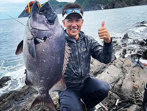 イシダイの釣果