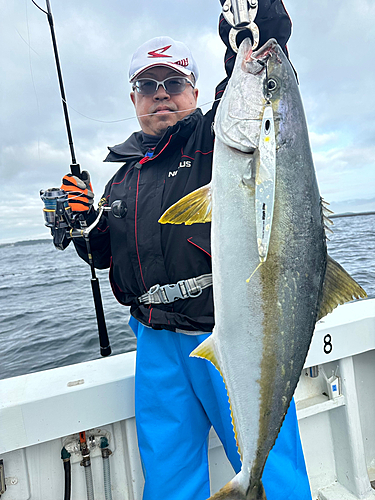 ヒラマサの釣果