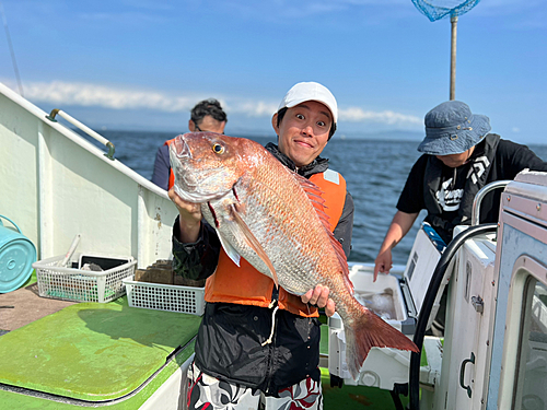 マダイの釣果