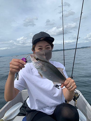 ショゴの釣果