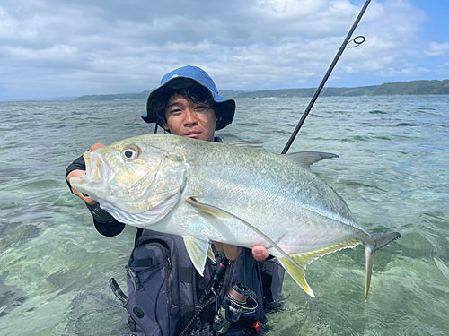 オニヒラアジの釣果