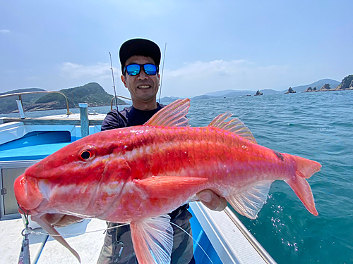 オキナヒメジの釣果