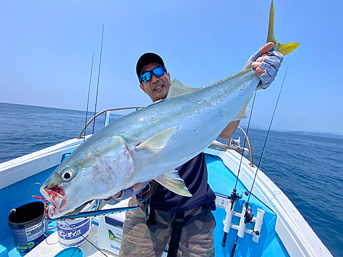 ブリの釣果