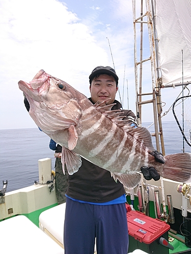 マハタの釣果