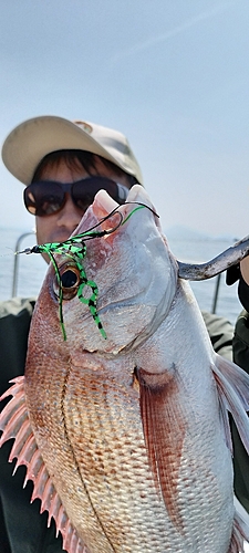 タイの釣果