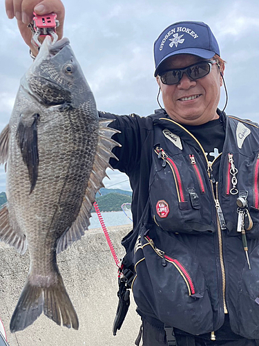 チヌの釣果