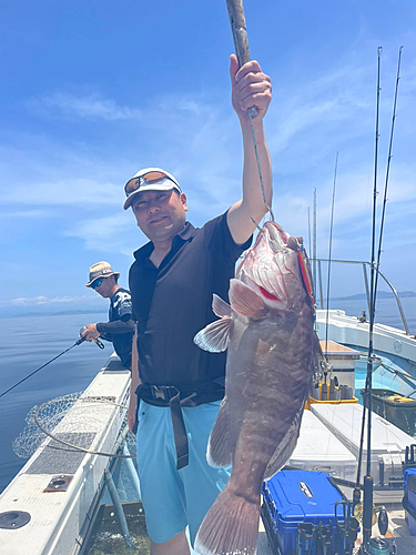 マハタの釣果