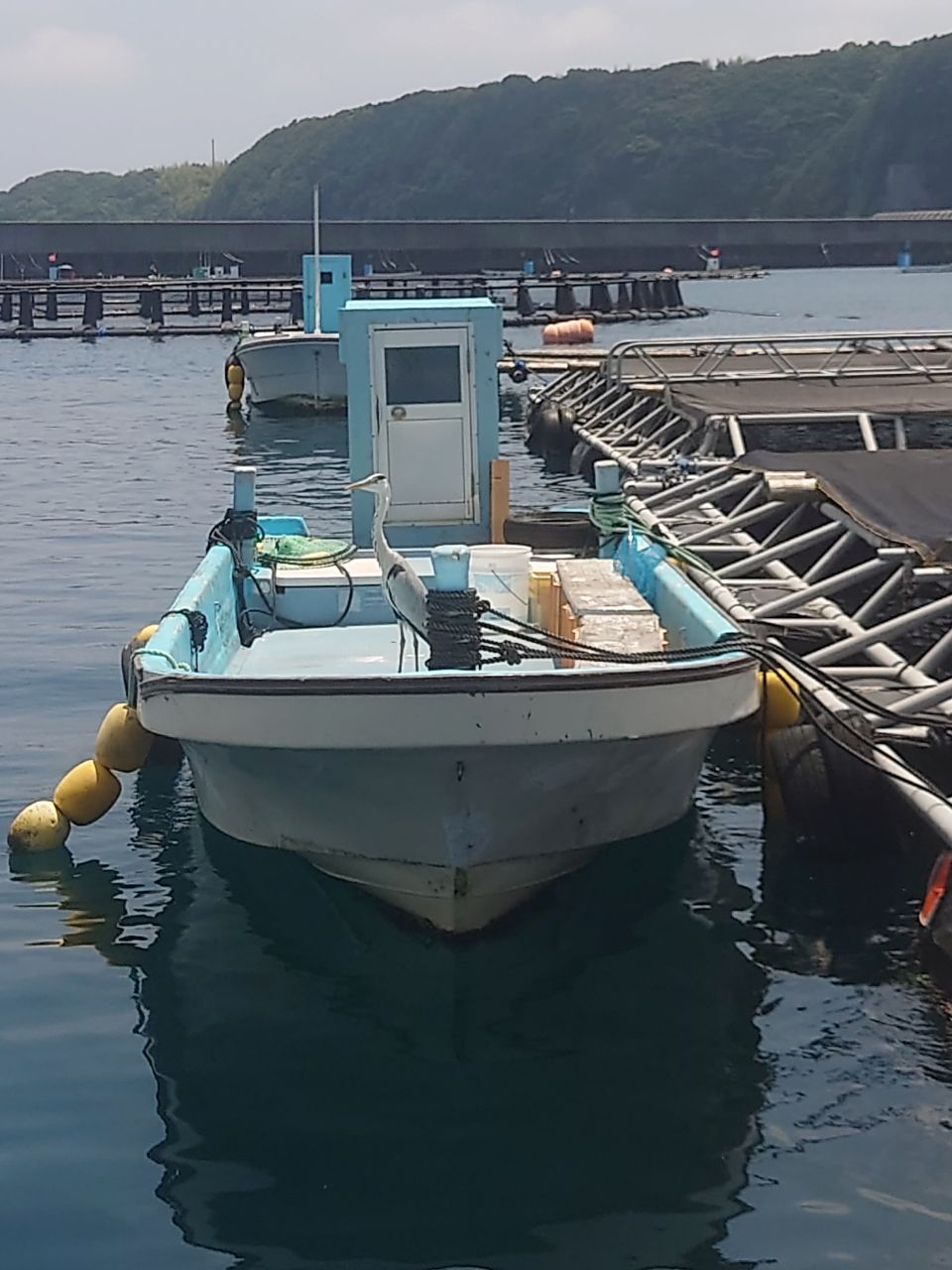 こばてんさんの釣果 3枚目の画像