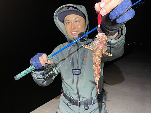 ニジカジカの釣果