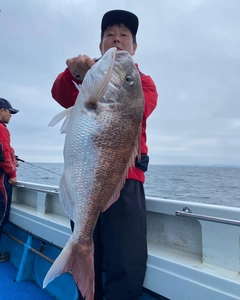 タイの釣果