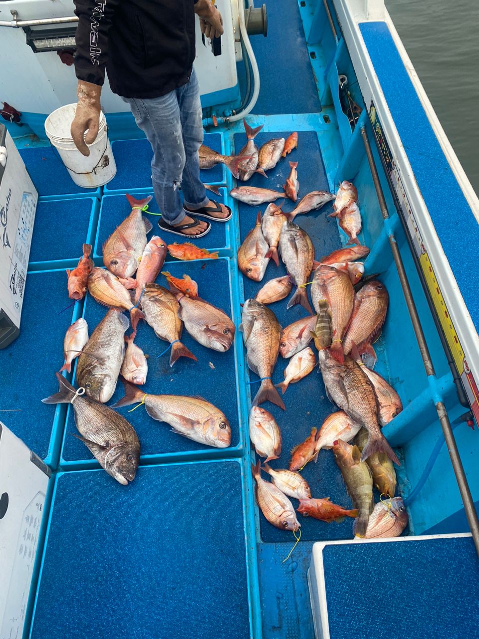 えくりぷすさんの釣果 3枚目の画像