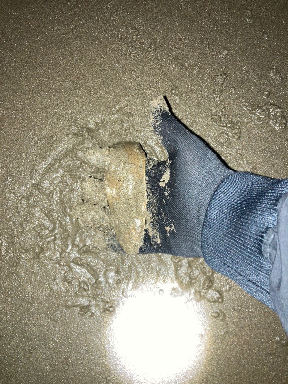 シタビラメ