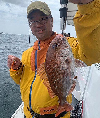 マダイの釣果