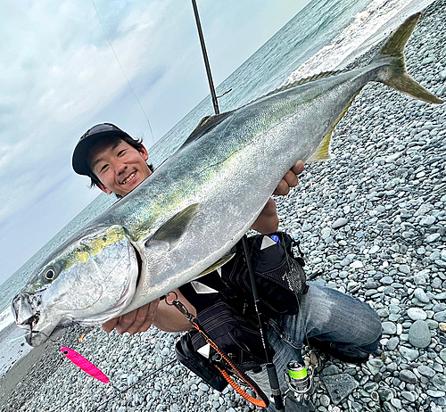 ワラサの釣果