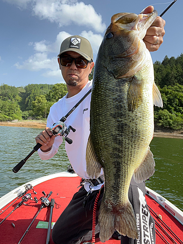 ブラックバスの釣果