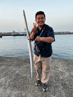 ヤガラの釣果