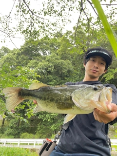 ラージマウスバスの釣果