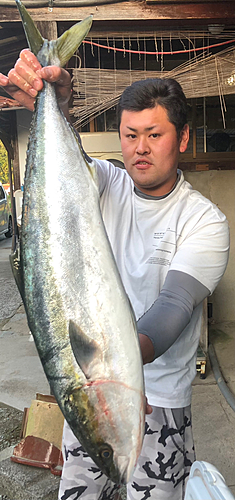 ブリの釣果