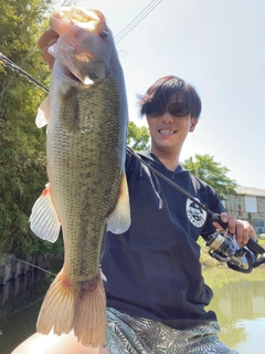 ブラックバスの釣果