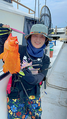 アザハタの釣果