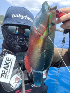 ヒトスジモチノウオの釣果