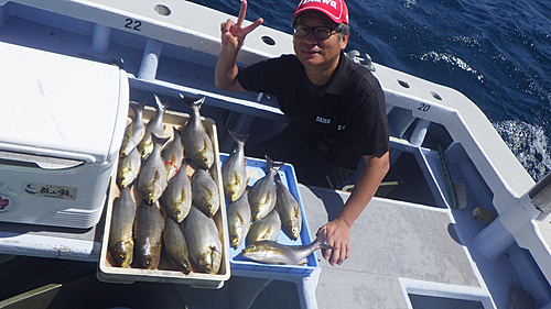 イサキの釣果