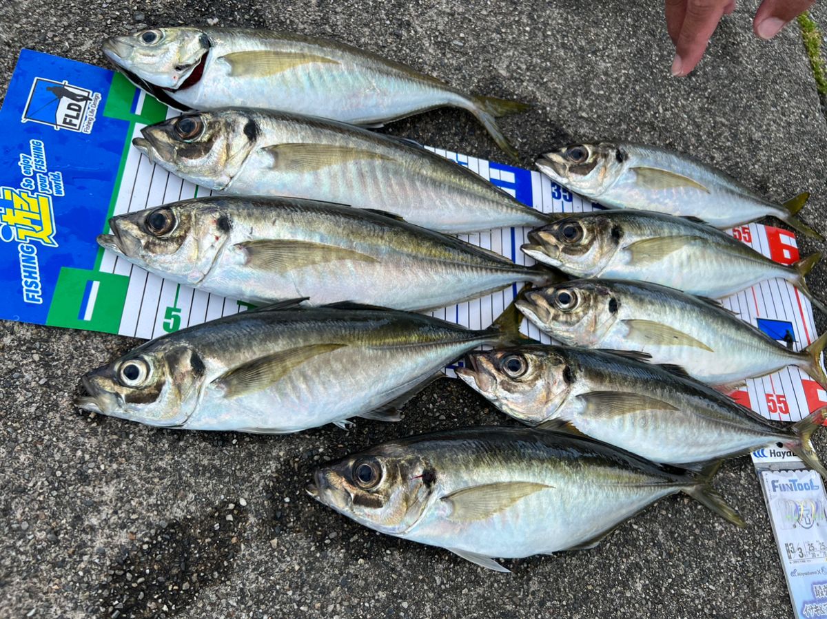 kei-masakoさんの釣果 2枚目の画像