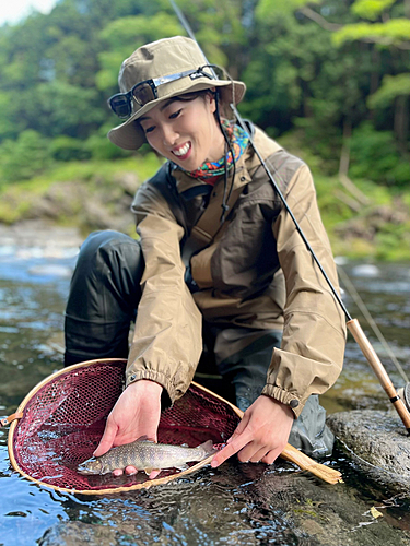 イワナの釣果