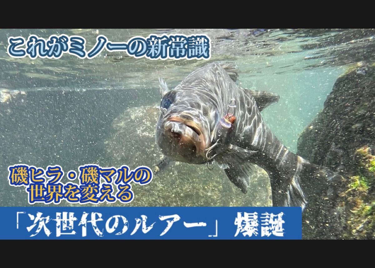 アマソニキ(阿萬慎市)さんの釣果 2枚目の画像