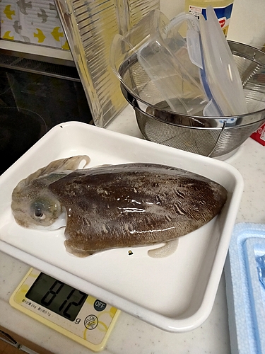 釣果