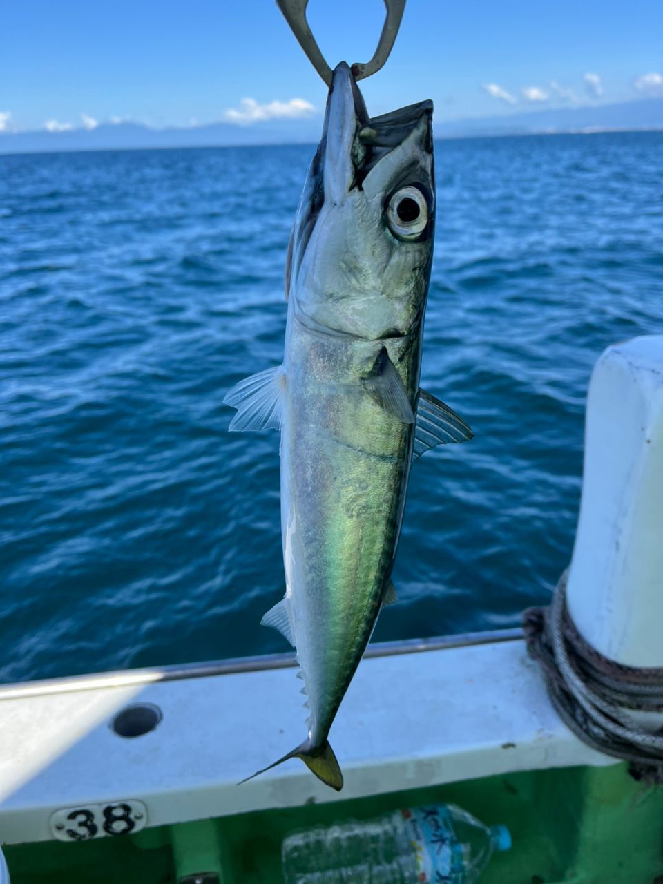 なりたなおとさんの釣果 2枚目の画像