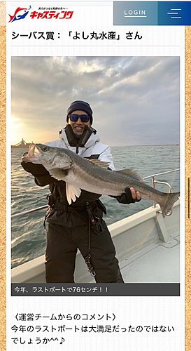 シーバスの釣果