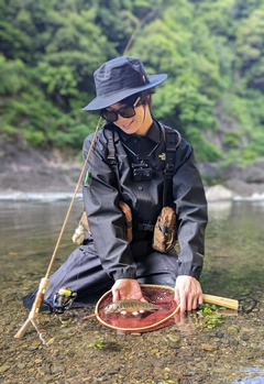 イワナの釣果