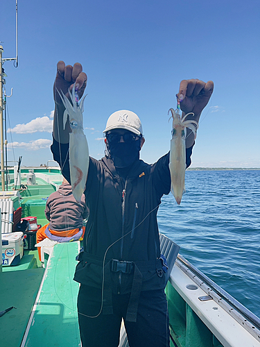 マルイカの釣果