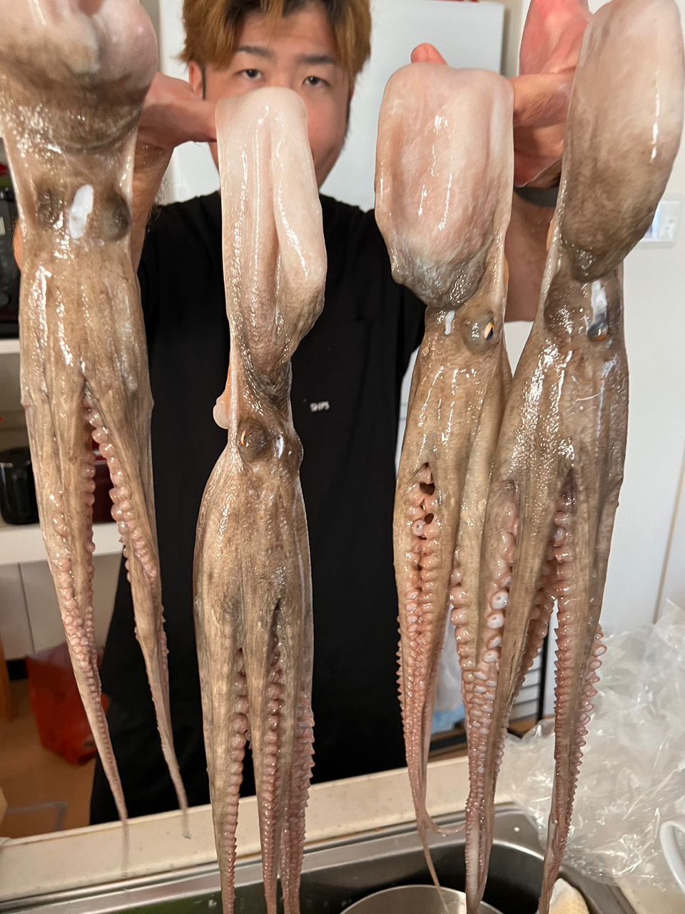 picotさんの釣果 1枚目の画像