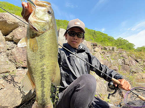 ブラックバスの釣果