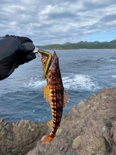 アカエソの釣果