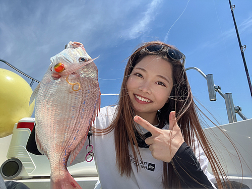 チダイの釣果