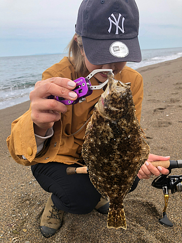 ソゲの釣果