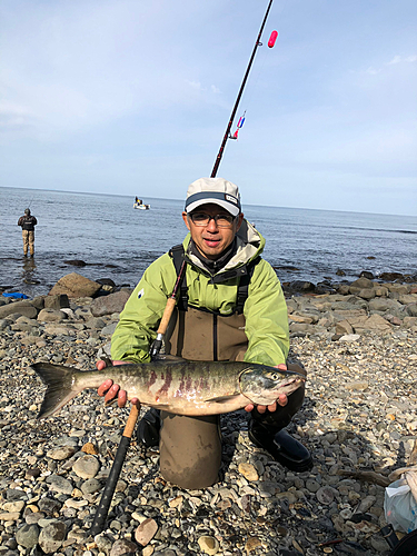 サケの釣果