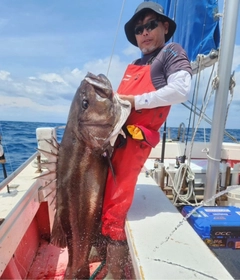 イシナギの釣果