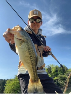 ブラックバスの釣果